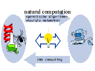 natural computation