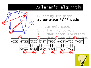 Adleman's algorithm