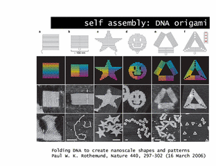self assembly: DNA origami